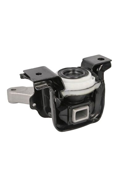 REINHOCH Suport motor RH11-2222