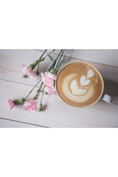 innature Cafea boabe MORNING BIRD Cafe Crema Arabica 1 kg