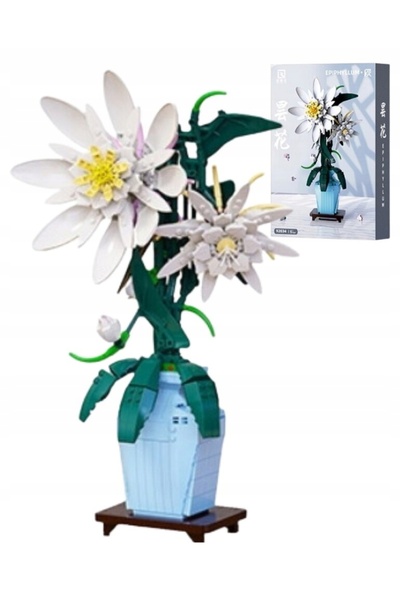 QBI Plăci de plastic Epiphyllum Flori în ghiveci 1081280