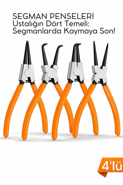 NEXTRA Profesyonel 4'lü Segman Pensesi Seti | İç Dış Eğri Düz Uçlu Yaylı Pens...