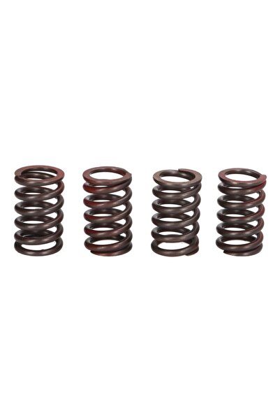 TRW Set Arcuri Ambreiaj Ktm Duke Enduro Sm Smc 690 2007-2016 KTM Duke/Enduro/...
