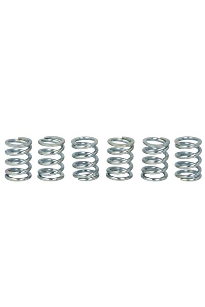 TRW Set Arcuri Ambreiaj Suzuki Gsx 1300 1999-2007 SUZUKI GSX