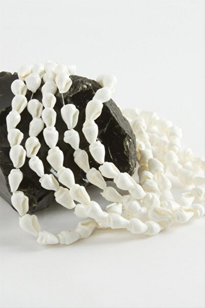 ZERO LAND Ilkestor Oyster Sea Shell 1 String (92912) - White