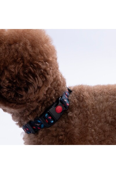 Pawstar Dino Dinozor Desenli Köpek Boyun Tasması Ayarlanabilir Köpek Tasması