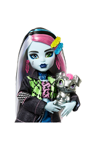 MONSTER HIGH PĂPUȘĂ DE MODĂ FRANKIE STEIN CU ACCESORII CADOU PENTRU ANIMALE D...