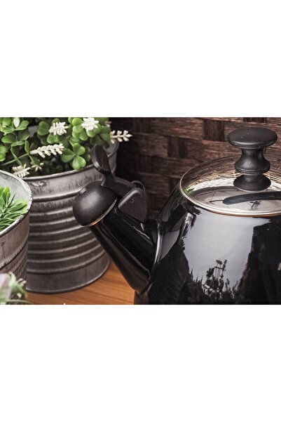NO BRAND Fierbător tradițional cu fluier 2.8l, pentru inducție și gaz, din inox