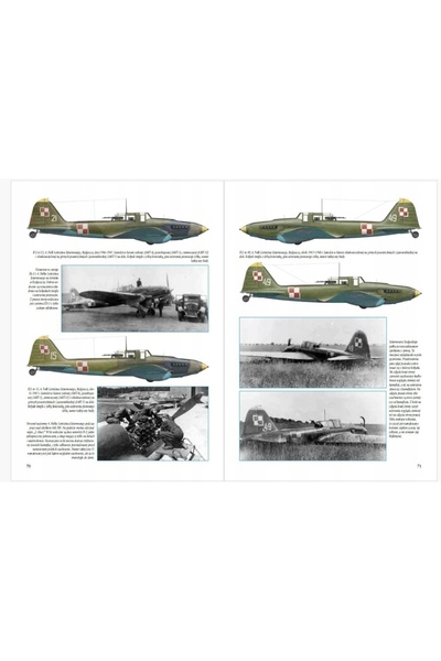 NO BRAND Avion de atac Ilyushin I-2 - Wojciech Zispielny