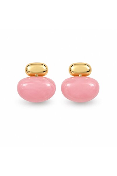 CHARMLUCKY Top-Gold Earrings