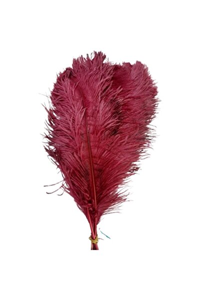 OEM Set de 3 pene de struț, lungi de 50 cm, culoare granat, lățime de 20-25 cm