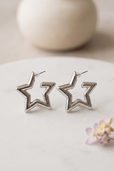 Elika Silver Women's Star Figured Earrings