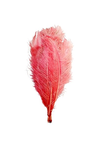 OEM Set de 3 pene de struț, lungi de 50 cm, culoare roz, lățime 20-25 cm