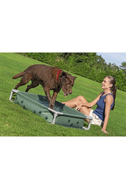 BESTWAY 561RG Fetchin Fun Köpek Oyun Havuzu & Yükseltilmiş Yatak 1,02 m x 74 ...