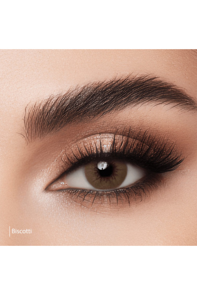 Lens X Decorative Lenses Biscotti