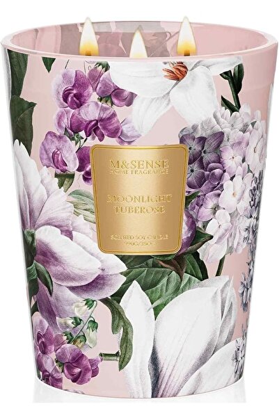 M&SENSE شمعة معطرة برائحة الأوكالبتوس وخشب الأرز، شموع طبيعية من شمع الصويا ب...