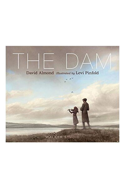 Generic (Unbranded) The Dam
