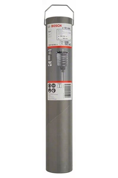 Bosch Burghiu SDS-max 50 290