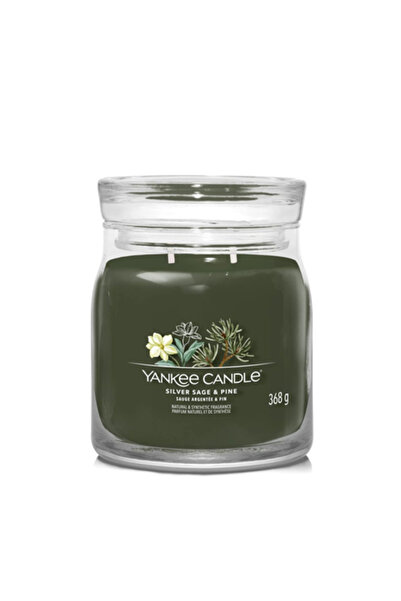 Yankee Candle Κερί Υπογραφής Ασημένιας Φασκομηλιάς και Πεύκου, Μεσαίο, 368 γρ.