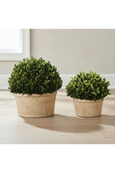 Crestview Collection BOXWOOD NATURAL STYLE OVAL SHAPEL S/2