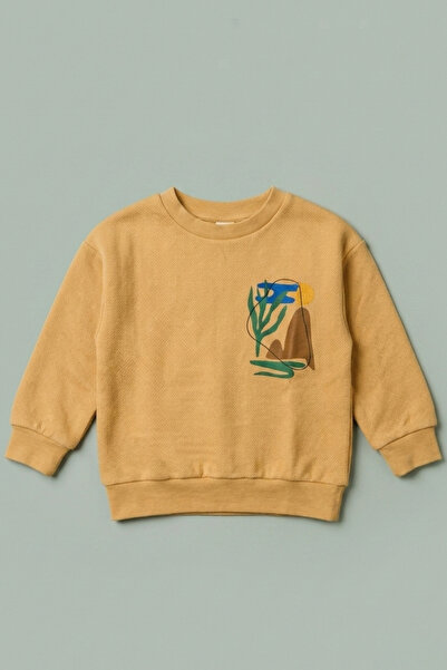 zumino Boy's Nature Themed Back Print Crew Neck Sweatshirt (1-10 Years)