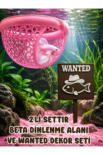 Akvaryum 2'li Set Beta Dinleme Alanı ve Wanted Dekoru Seti Beta Balıgı Dinlen...