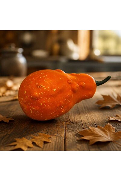 decotoys Polystyrene pumpkin S 6/set