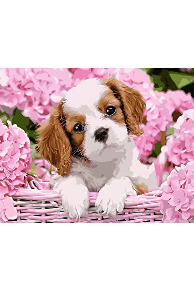 NEVERMORE Set pictura pe numere - panza pe rama lemn 40x50 cm, H975, NEVERMOR...
