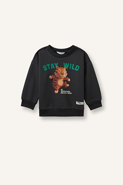 DeFacto Oversize Tiger Printed and Written Long Sleeve Sweatshirt for Baby Bo...