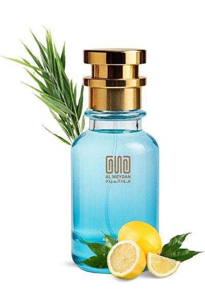 OUD AL MEYDAN Oil-Based Perfume for Men – Inspired by 212 Man Icee – Alcohol-...