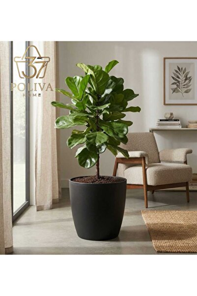 poliva home Yakut 22 Lİtre 34 cm Dekoratif Modern İç Ve Dış Mekan Saksı Izgaralı