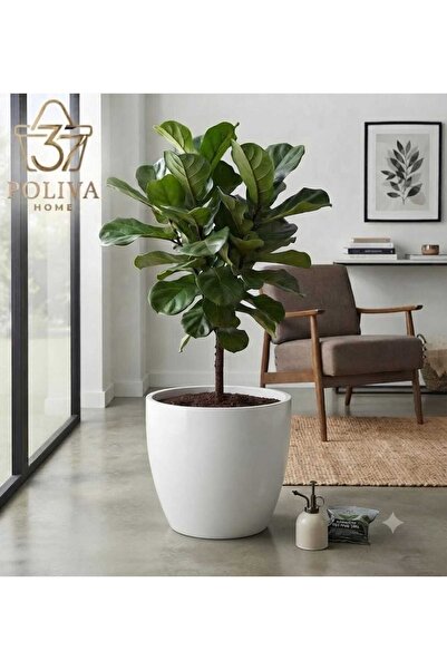 poliva home Yakut 22 Lİtre 34 cm Dekoratif Modern İç Ve Dış Mekan Saksı Izgaralı