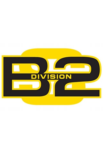 NO BRAND Mănuși de box Divizia B2 sg01 10 oz
