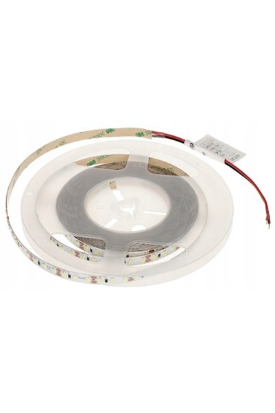 MW Lighting Bandă LED LED120-12V/9.6W-CW/5M - 16000 K