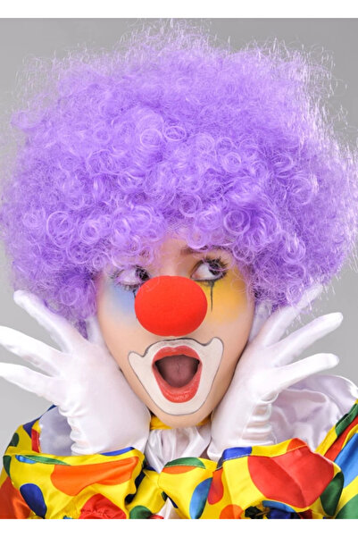 SORA GROUP Purple Color Curly Afro Bonus Wig Fake Hair and Red Nose Set