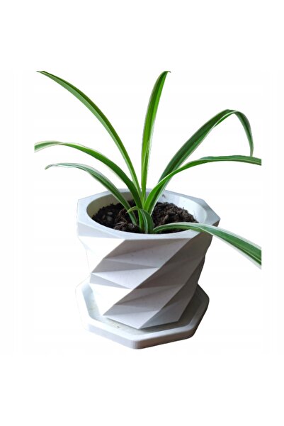NO BRAND Ghiveci cu bază, minimalist, boho, alb