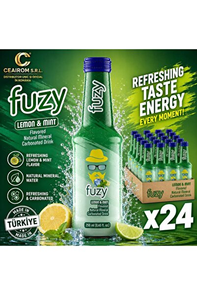 Fuzy CARBONATED DRINK LEMON & MINT 24 PCS