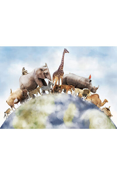 VIODESIGN Fototapet Copii, autoadeziv, Animale Glob, multicolor,200x300 cm CO357