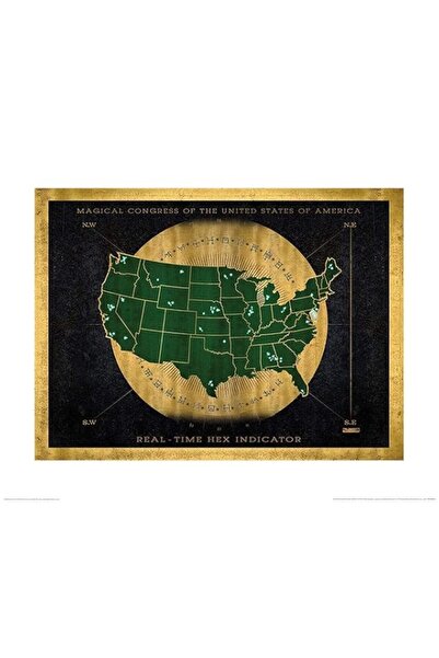 Generic Brand Pyramid International Warner Bros Fantastic Beasts Hex Indicato...