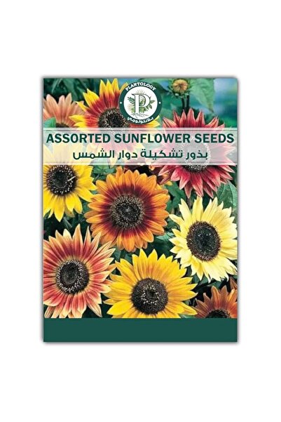 Generic Plantology Lab Assorted Sunflower Seeds for Planting - Sunflower Seed...
