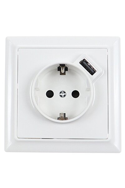 OEM Simple schuko socket with USB 2.4A Hoff Soft, recessed, protective contac...