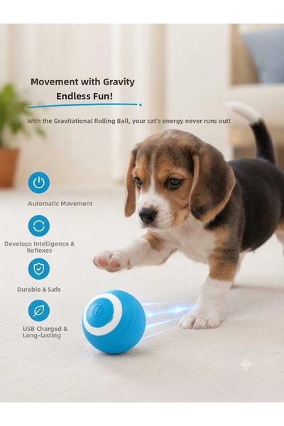 PATİZİSHOP Automatic Moving Cat & Dog Ball Blue