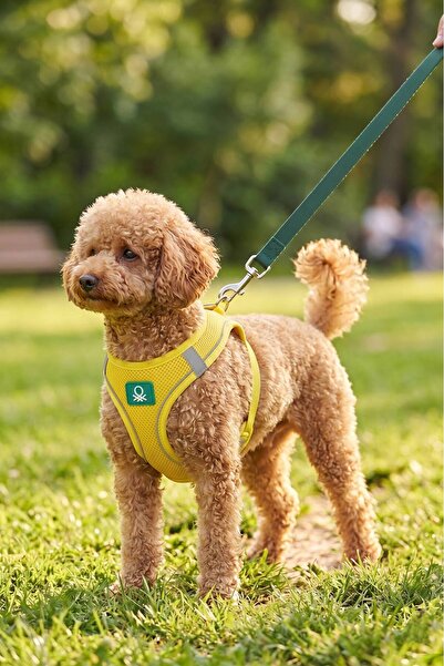 United Colors of Benetton BNT-A2504 Air-Mesh Kedi Köpek Göğüs Tasması Hava Ağ...