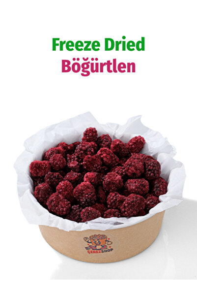 ÇITLAT ÇEREZ SHOP Böğürtlen Meyve Cipsi Freeze Dried Doğal Çıtır Atıştırmalık...