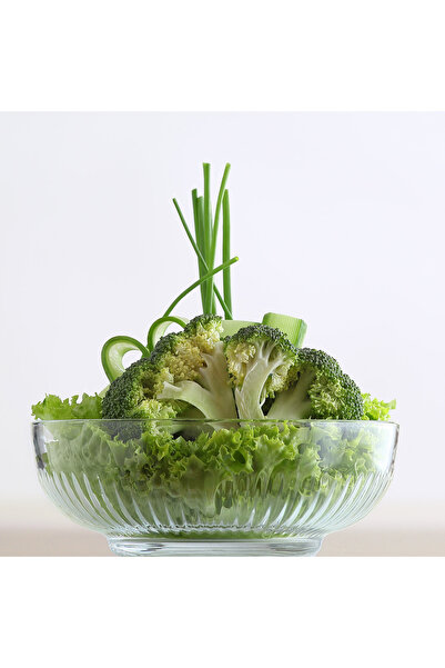 LAV Tokyo Cam Salata Kasesi Tekli Büyük Boy 1500 ml Yuvarlak (Sunum Kasesi , ...