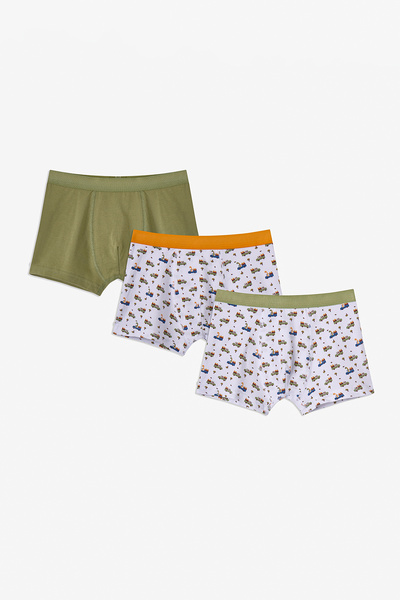Penti Haki Erkek Çocuk Dino in The Field 3'lü Boxer