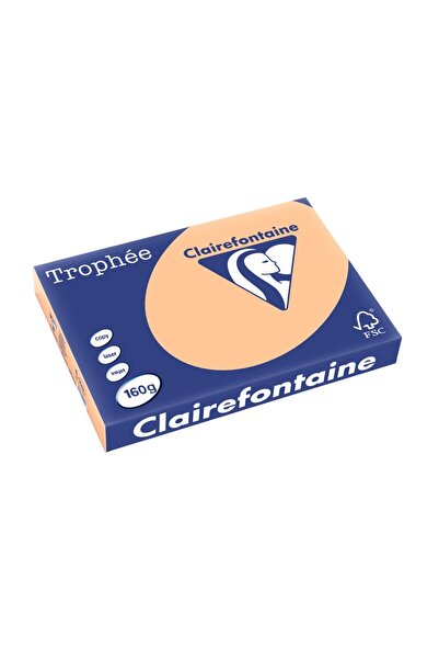 Clairefontaine Carton A3 160 g/m² culoare palida 250 buc/cutie caisă