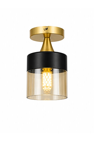 ESSLİGHT Verona Tekli Eskitme Bal Camlı Modern Antre Hol Avize