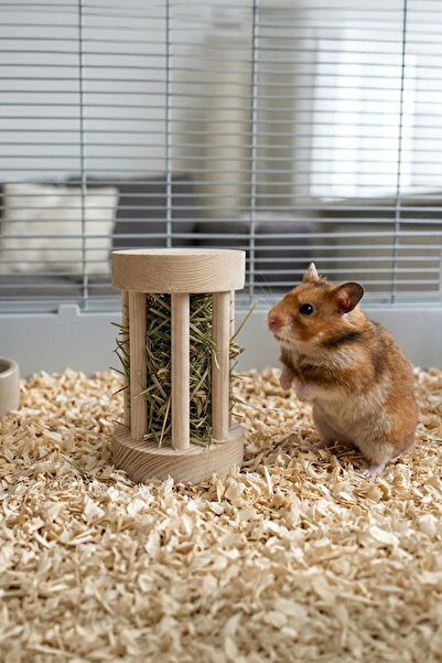Kuzeylina Doğal Ahşap Orta Boy Saman Ot Silindiri -Hamster, Ginepig ve Tavşan...