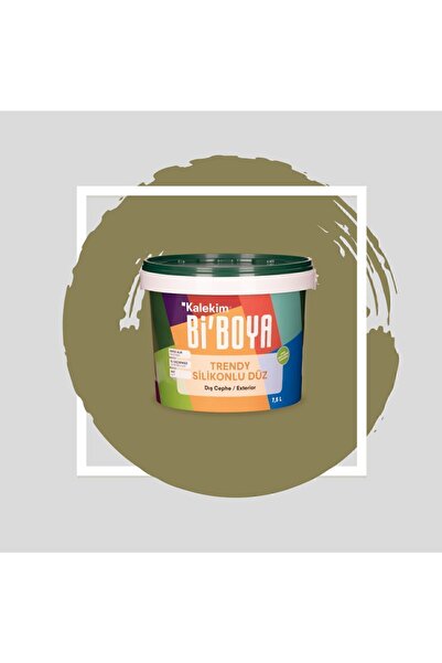 Bi Boya Silikonlu Dış Cephe Duvar Boyası 7.5 Lt 4204