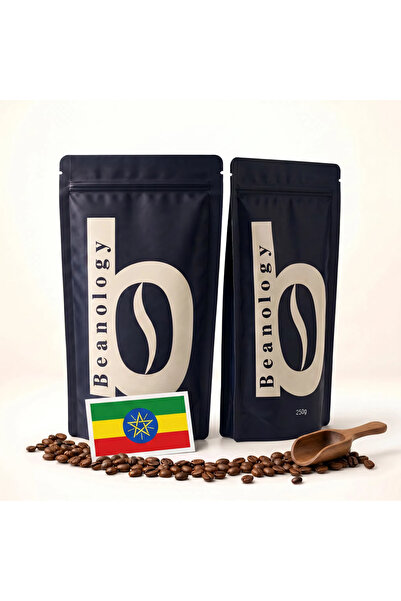 Beanology Coffee الأكثر مبيعًا: قهوة إثيوبية محمصة متوسطة 250 جرام + 250 جرام