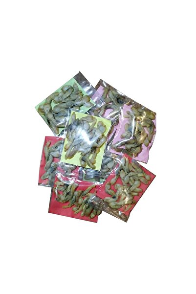 Avcı Market PASTÖRİZE EDİLMİŞ SÜLÜNEZ BALIK YEMİ